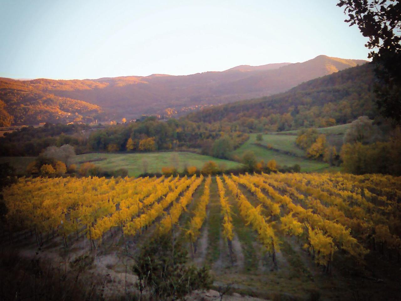 Вилла Agriturismo Borgo Ornina Salutio Экстерьер фото