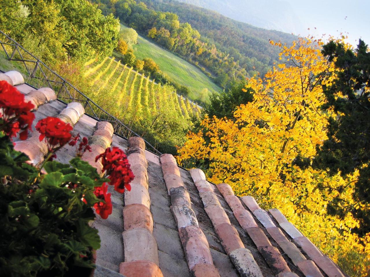 Вилла Agriturismo Borgo Ornina Salutio Экстерьер фото