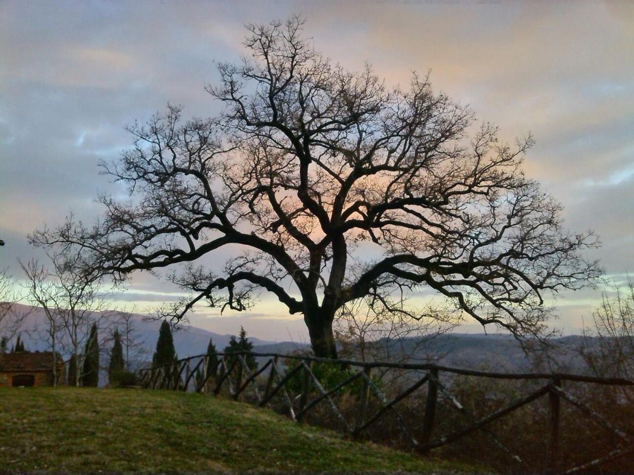 Вилла Agriturismo Borgo Ornina Salutio Экстерьер фото